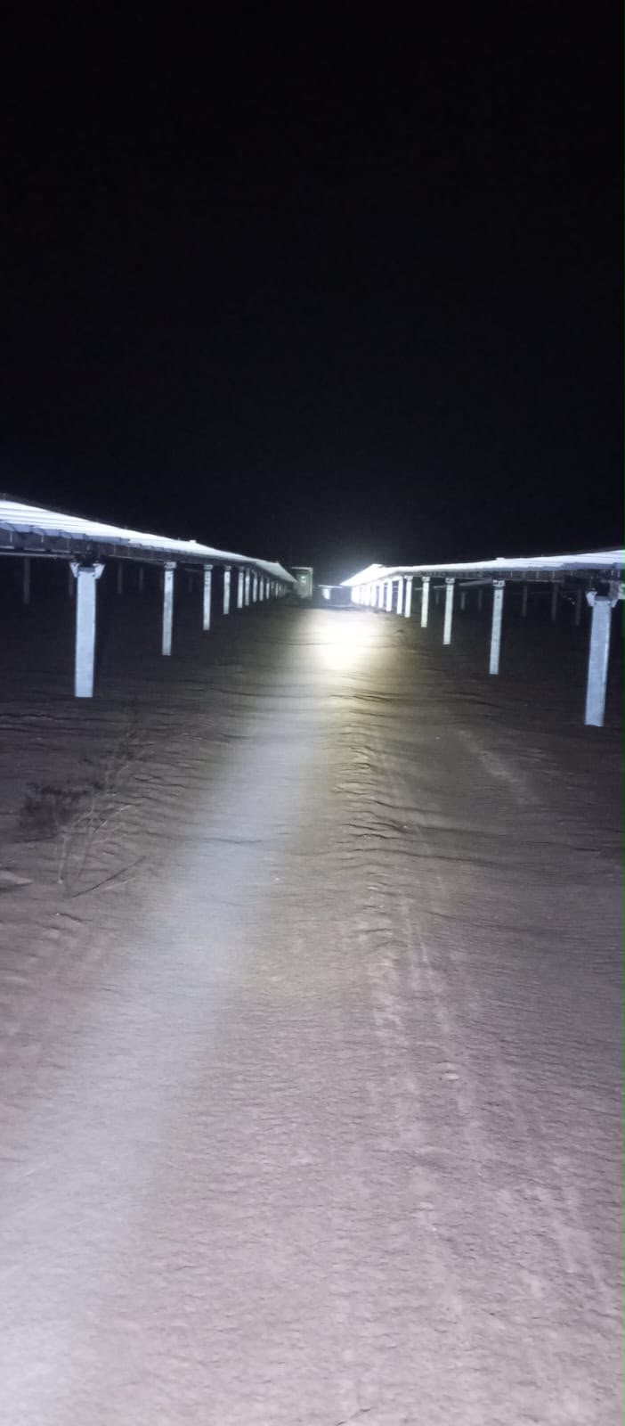 Camino iluminado entre paneles solares durante una ronda nocturna