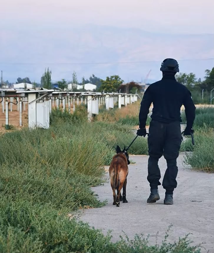 Guardia con binomio K9 recorriendo el camino interior de un parque fotovoltaico